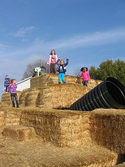 8116663666_a555a2d833_m